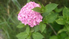 20140617_114020