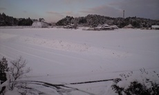 CA393872