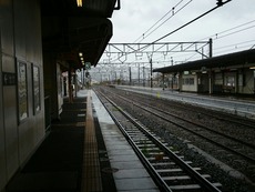 ff07a5fd.jpg