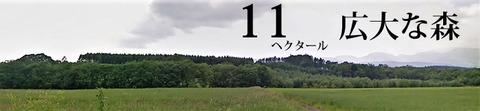 11ha
