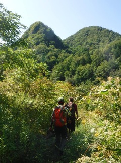 kabutoiwa