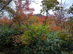 IMG_20171006_104326
