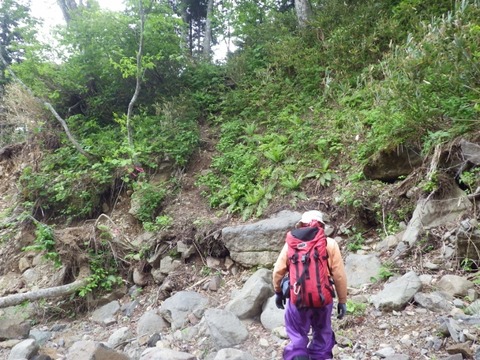 IMGP5487 (640x480)