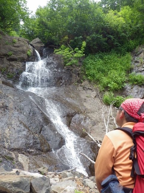 IMGP5481 (480x640)