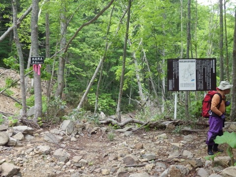 IMGP5490 (640x480)
