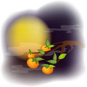 u18509128
