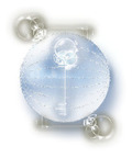 t02200264_0250030010706436711