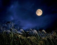 susukimoon