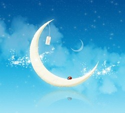 moon-and-ladybugs