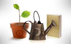 plant-water-book-380x235