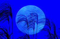 s-200808170018437928