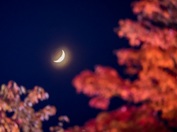 moon4