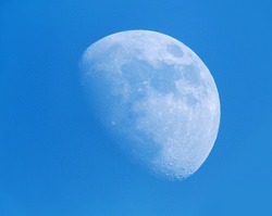 十日月2