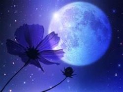 0_0_0_0_0_0_0_0_0_0_1cut_mooncosmos