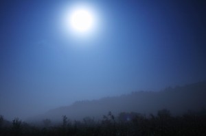 moonl