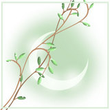 o0160016010263811396