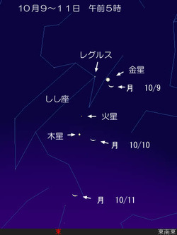 10月9-11