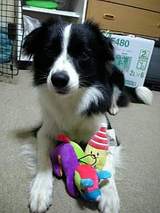 6784997d.jpg