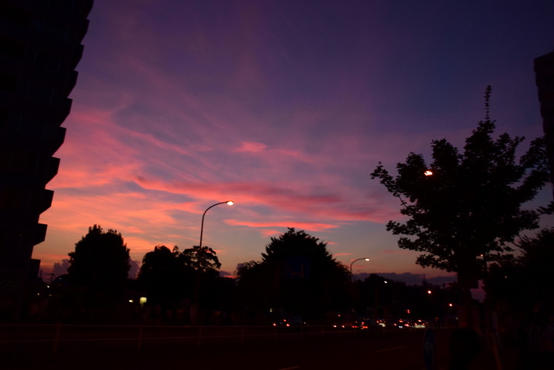 DSC_2875
