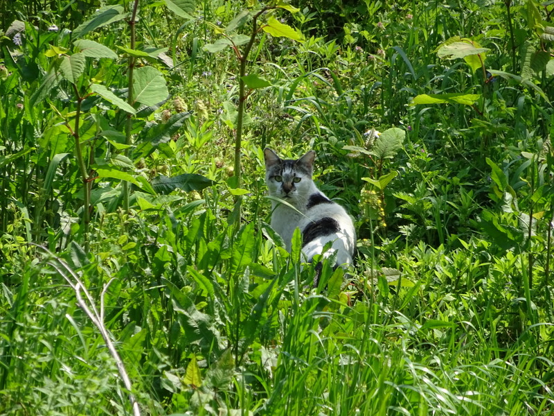 DSC04569