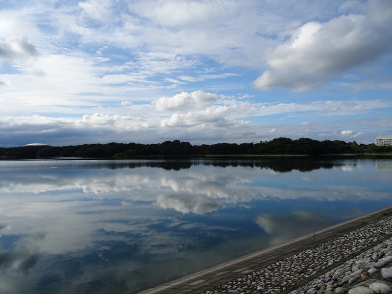DSC04097