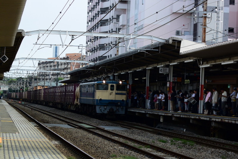DSC_1790 (1)
