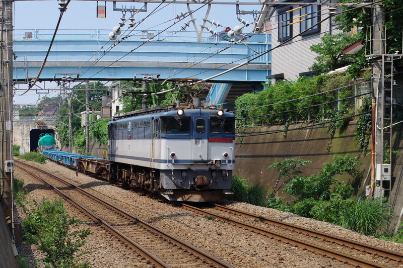 IMGP1778 (1)