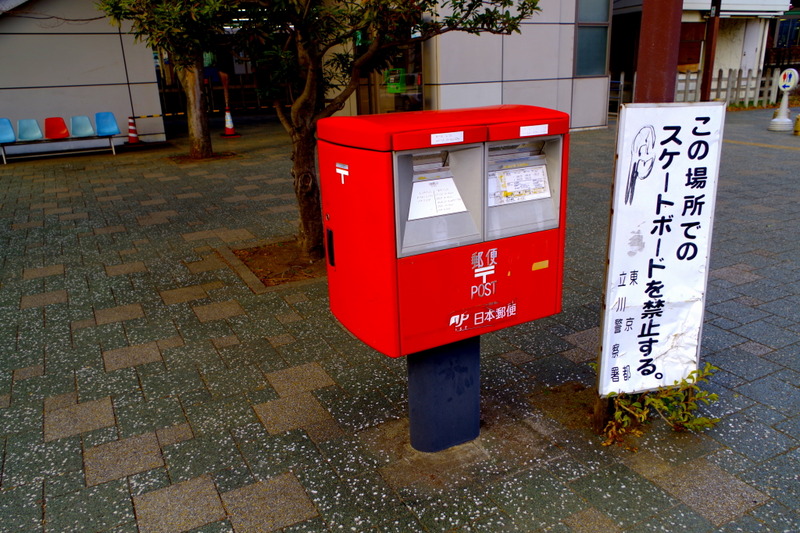 IMGP4364