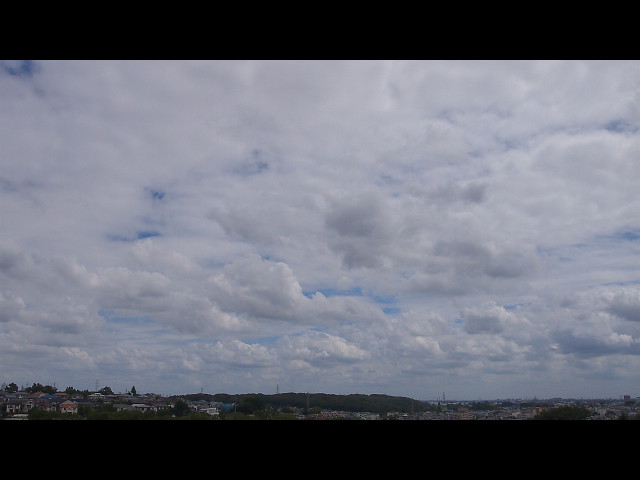 P8161261
