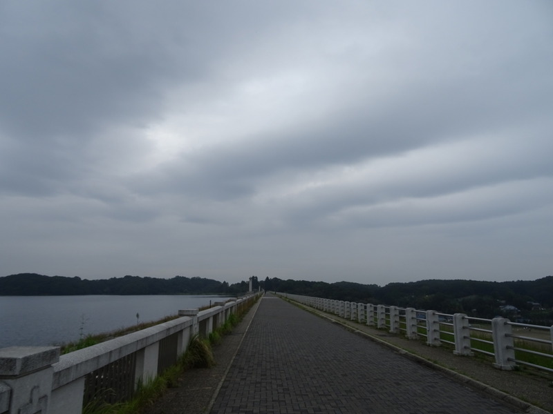DSC05416