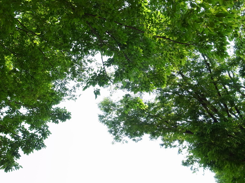 R0200332