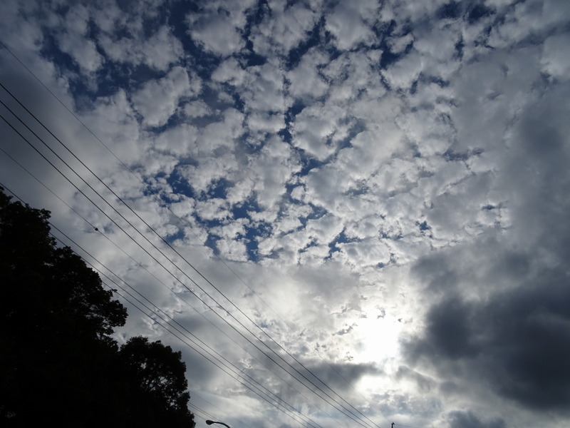 DSC04106