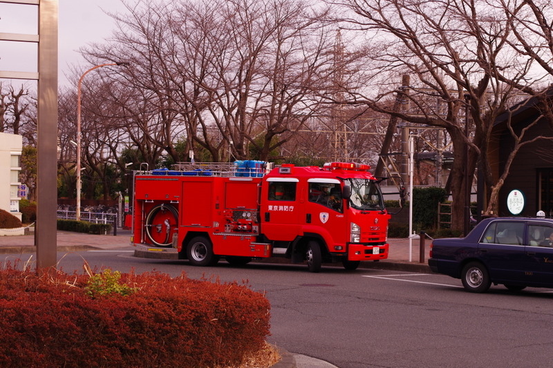 IMGP4334