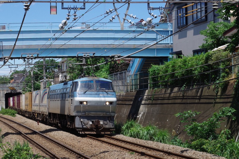 IMGP1524