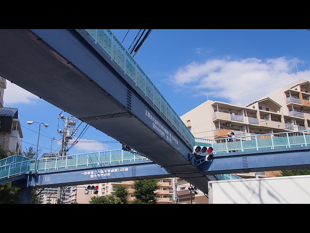 P9031451