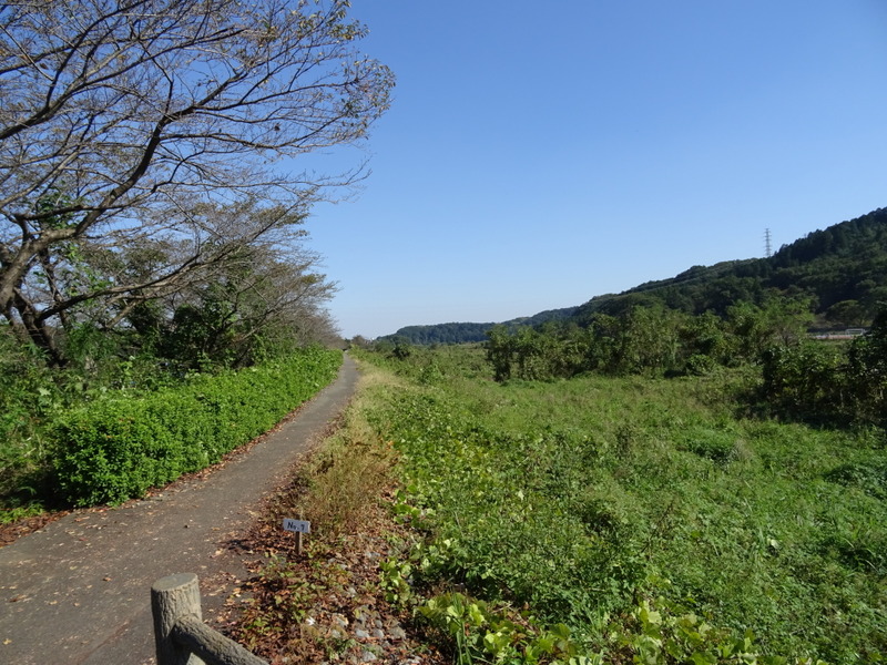 DSC05550