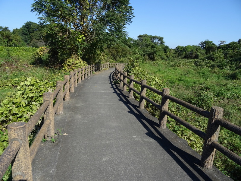 DSC05544