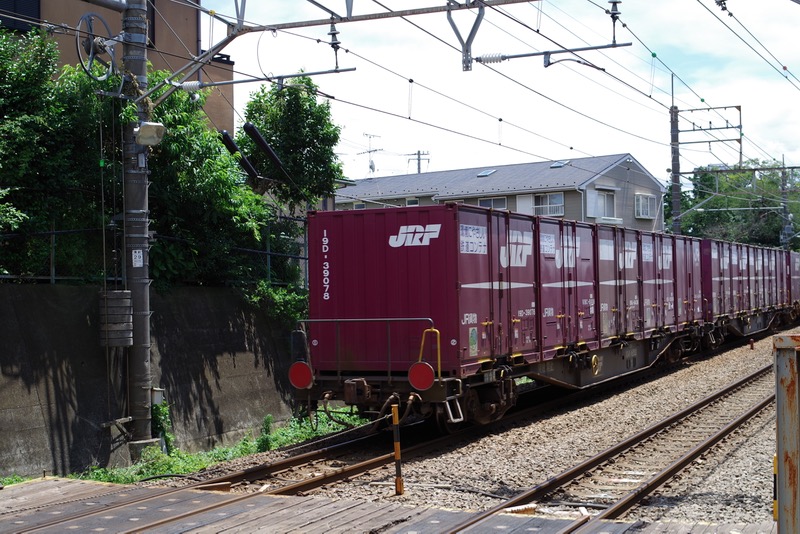 IMGP1499