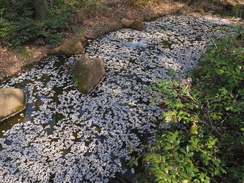 P4060257