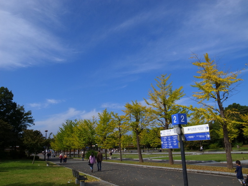 R7091448