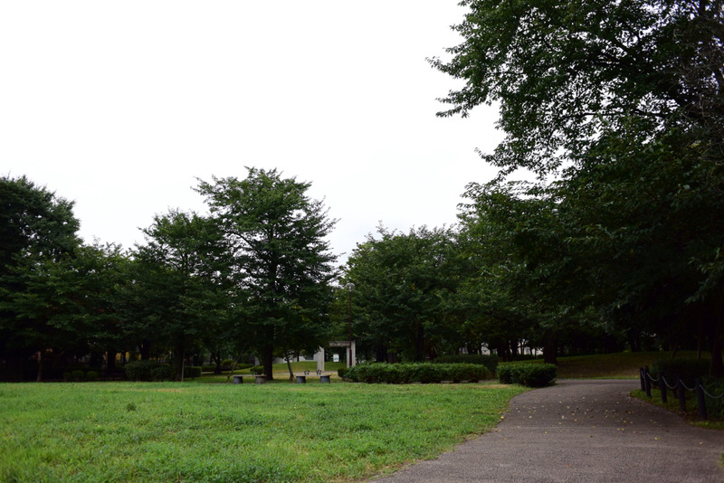 2015-08-23-12-57-58