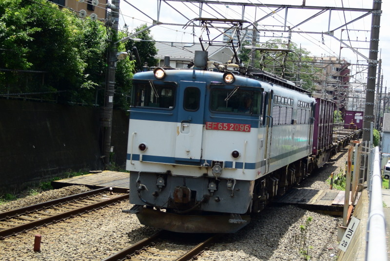 DSC_1641 (1)