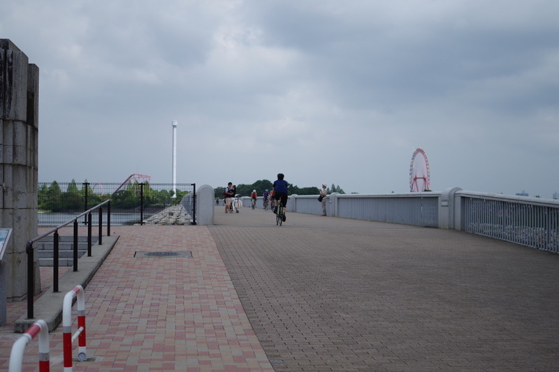 IMGP2238