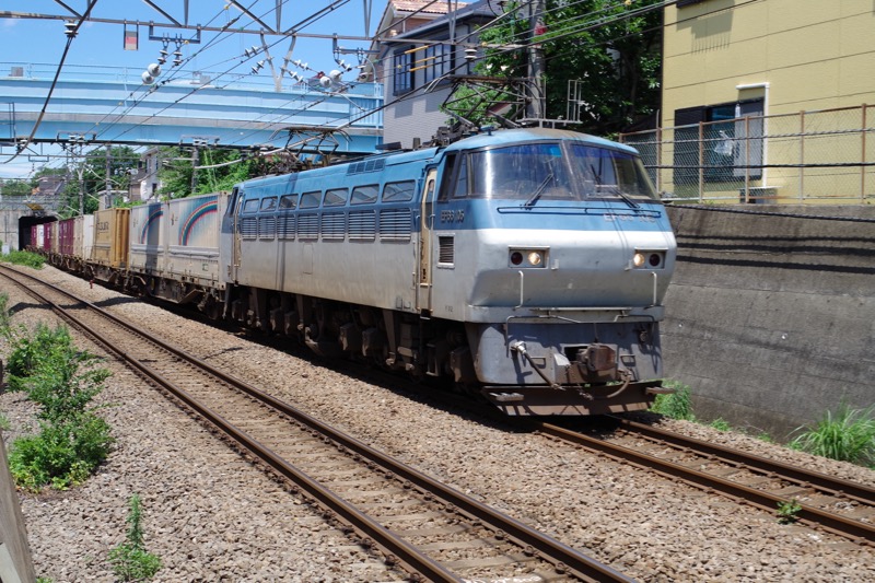 IMGP1531