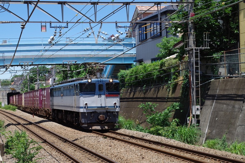 IMGP1481