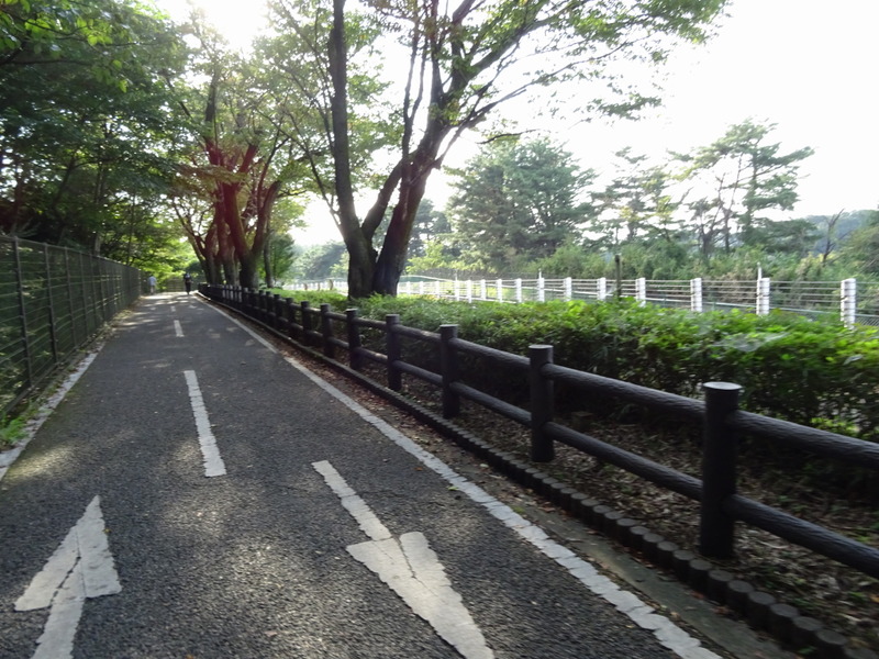 DSC03998