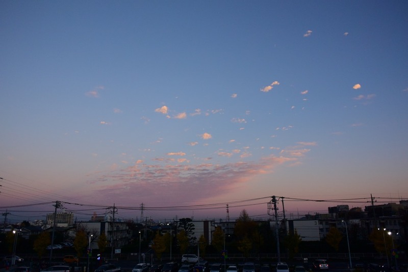 DSC_4787