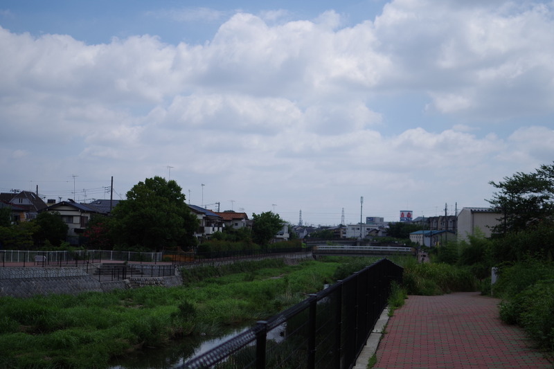 IMGP2237