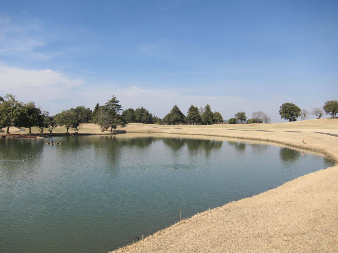DPP_0993