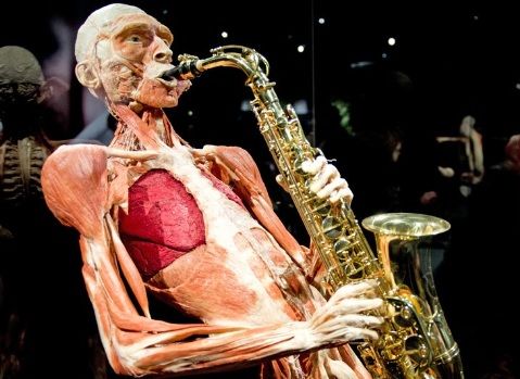 bodies-exhibition